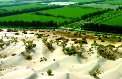 新疆生产建设兵团--督察动态--绿色浪潮,在兵团大地不