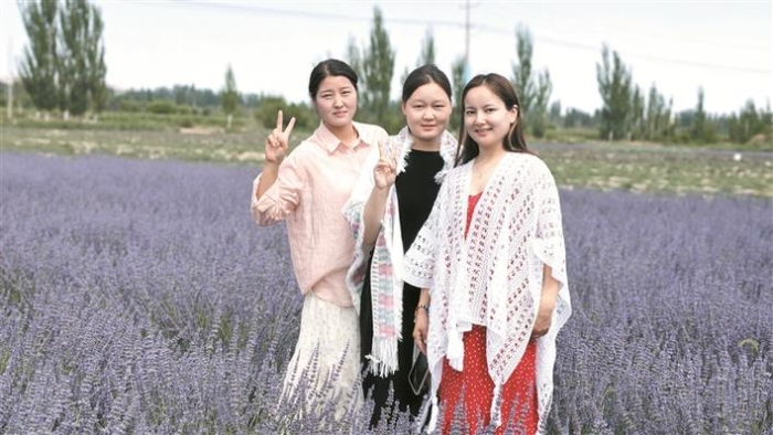 新貌2