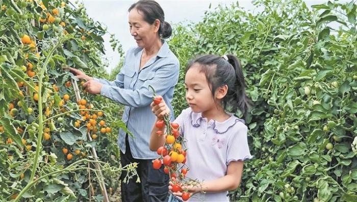 新貌3