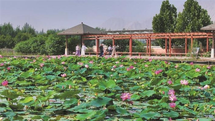 新貌4