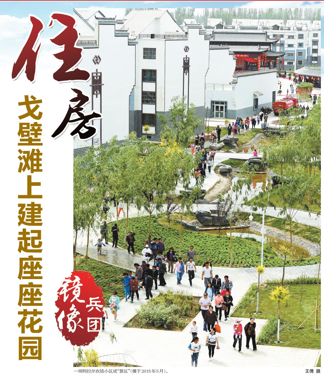 兵团人口变迁_调查兵团