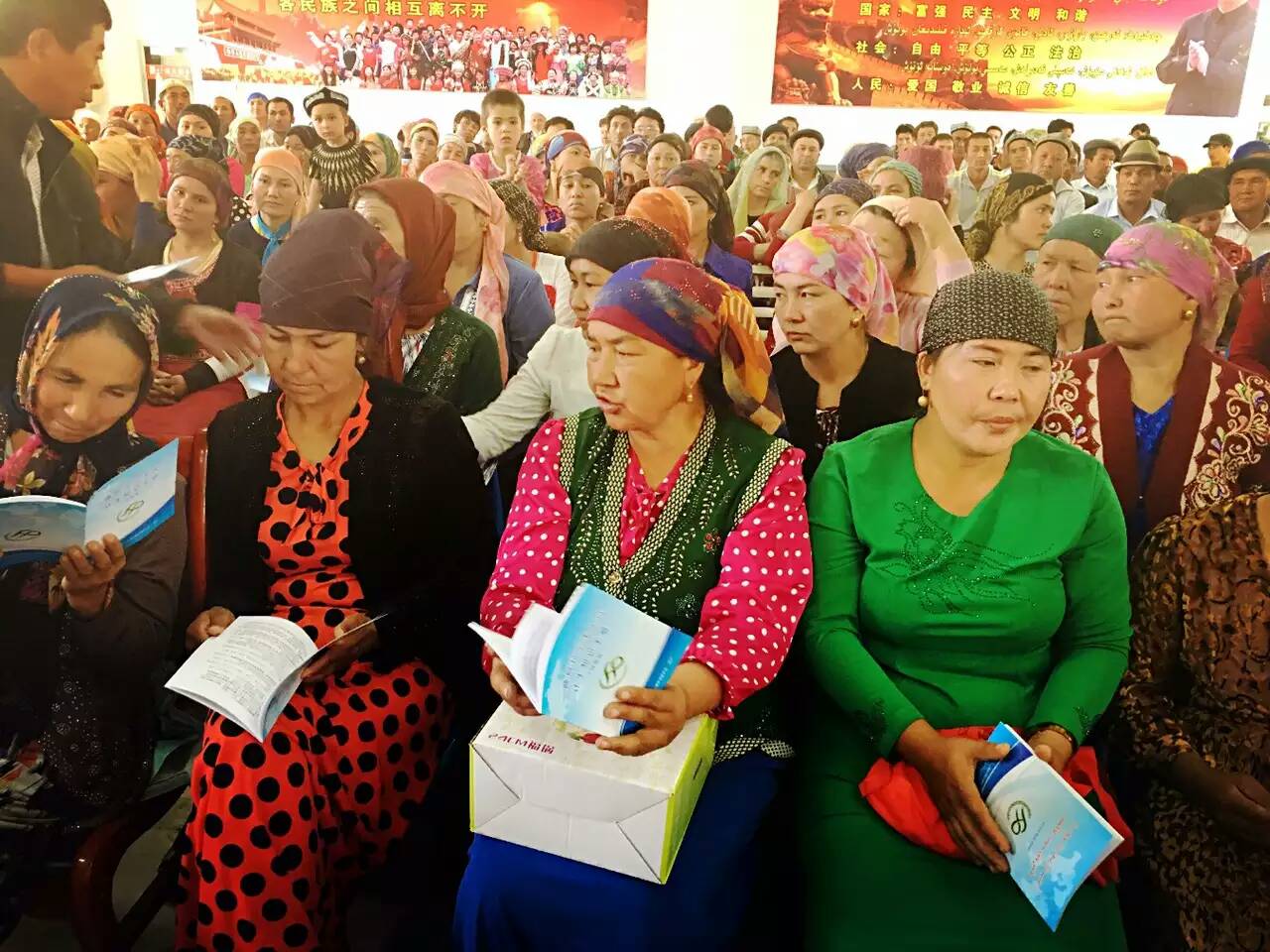 六普少数民族人口_第六次人口普查成都市少数民族人口年龄结构(3)