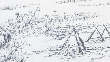 新疆生产建设兵团--创业轶事--军垦战歌催绿了荒原——兵团发展历史